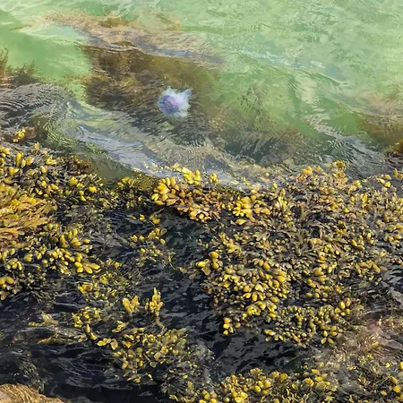 6 Person In Frederikshavn-by Traum Дом отдыха