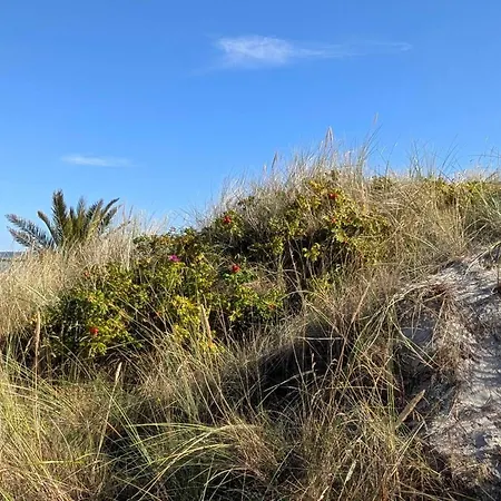 6 Person In Frederikshavn-by Traum Дом отдыха